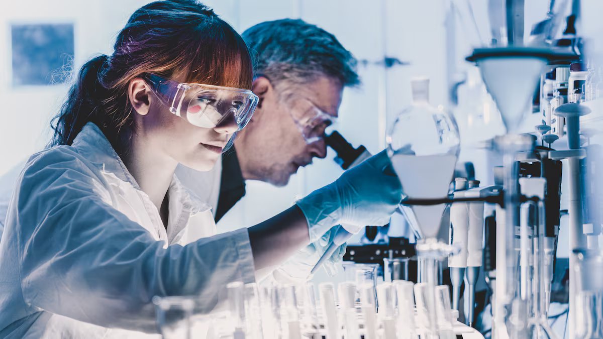 JellyThin reviews progressive metabolic entrenchment research scientists